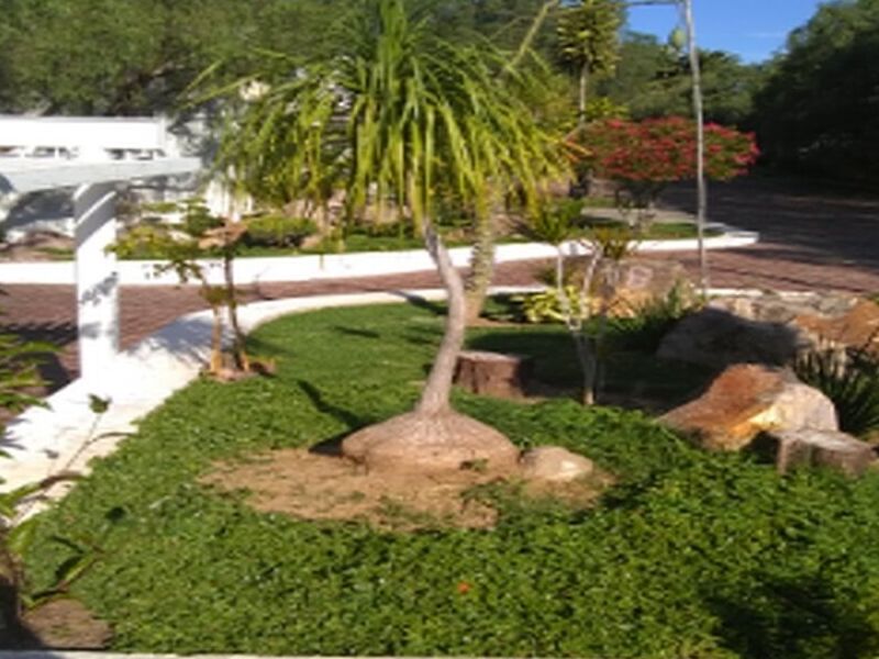 Diseño Jardines Guanajuato