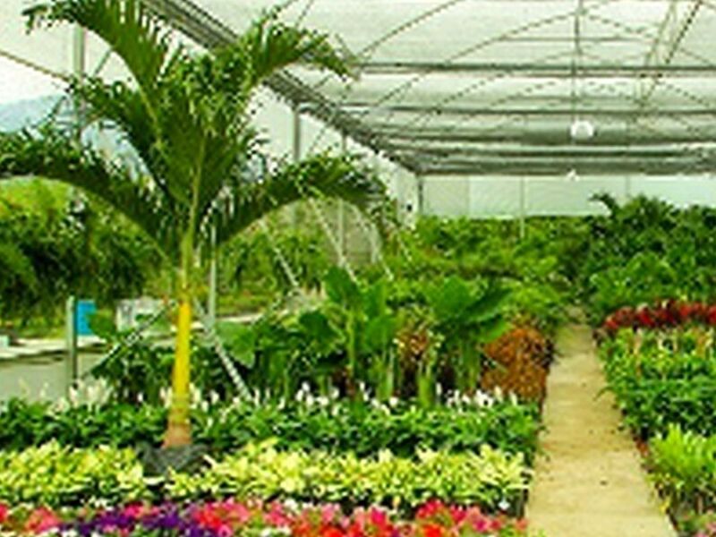 Diseño Jardines Monterrey