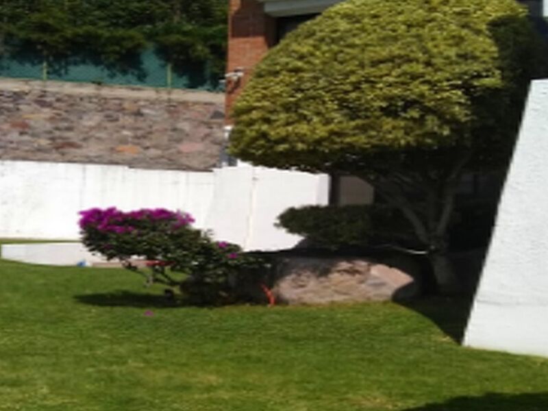 Poda Césped Zapopan