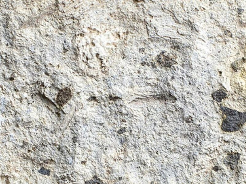 Piedra Natural Blanco Pachuca
