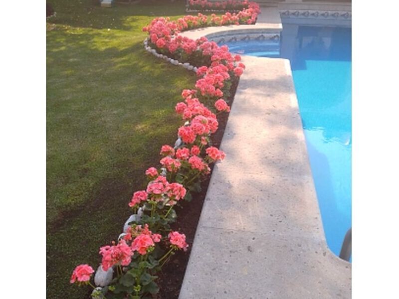 Decoracion de Jardines Mexico