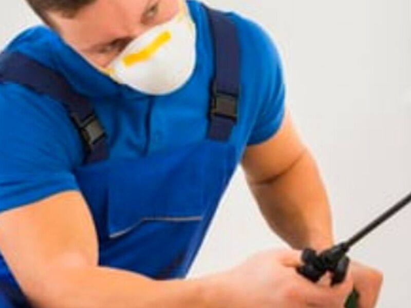 Sanitización hogares Durango 