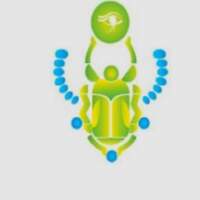 Fumigaciones Y Control De Plagas