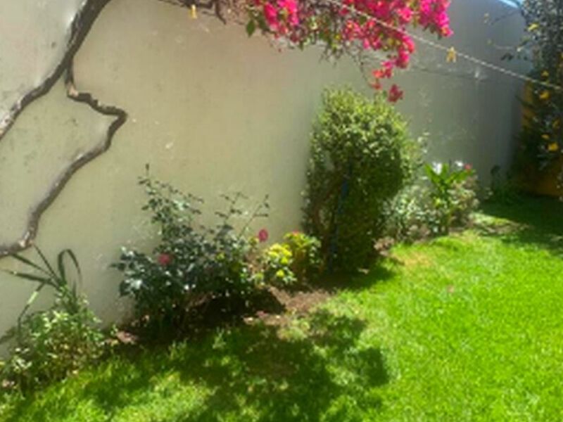 Casa lomas loreto méxico