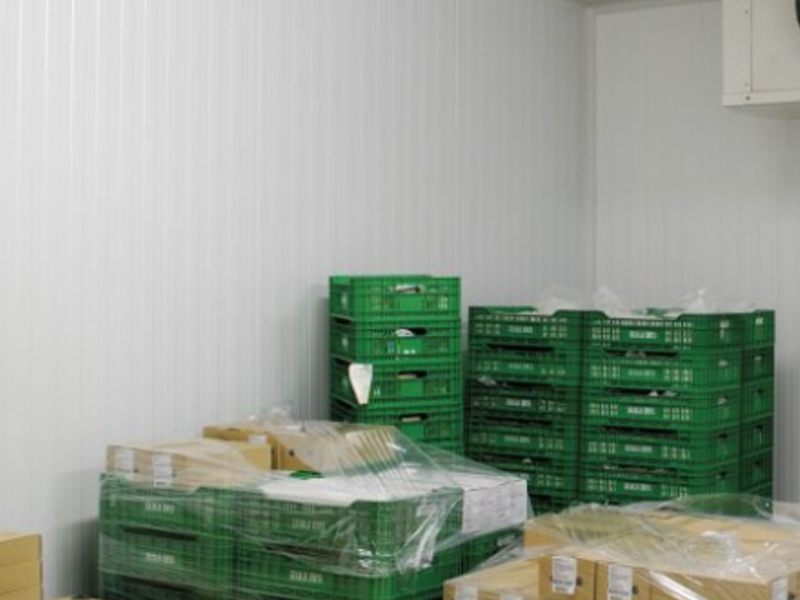 Recubrimiento de PVC P100 Zapopan