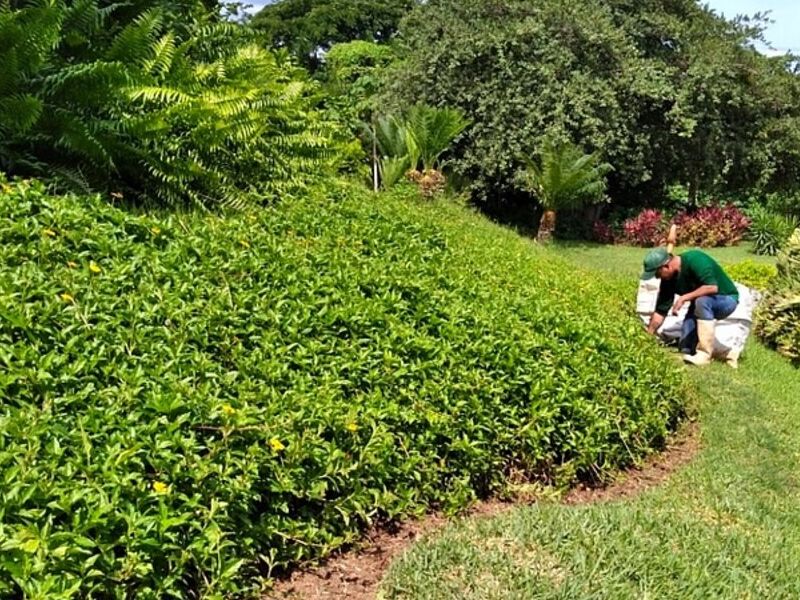 Diseño Jardines Guadalajara
