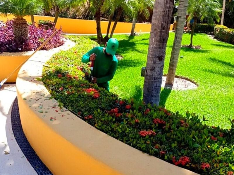 Construcción Jardines Guadalajara