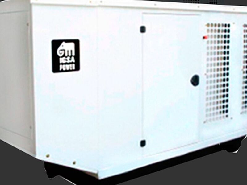 Generador Electrico Igsa