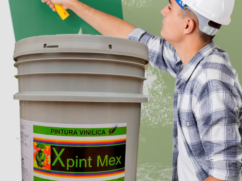 Pintura Vinílica Calidad Total Cuernavaca