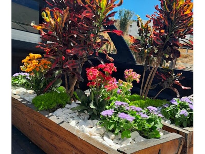 Jardinería Querétaro