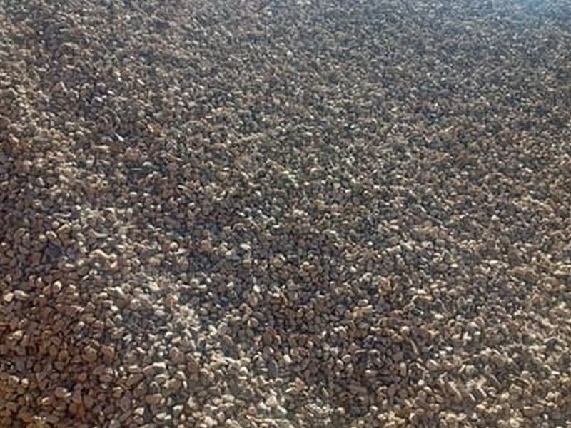 Grava Construcción Baja California Sur 