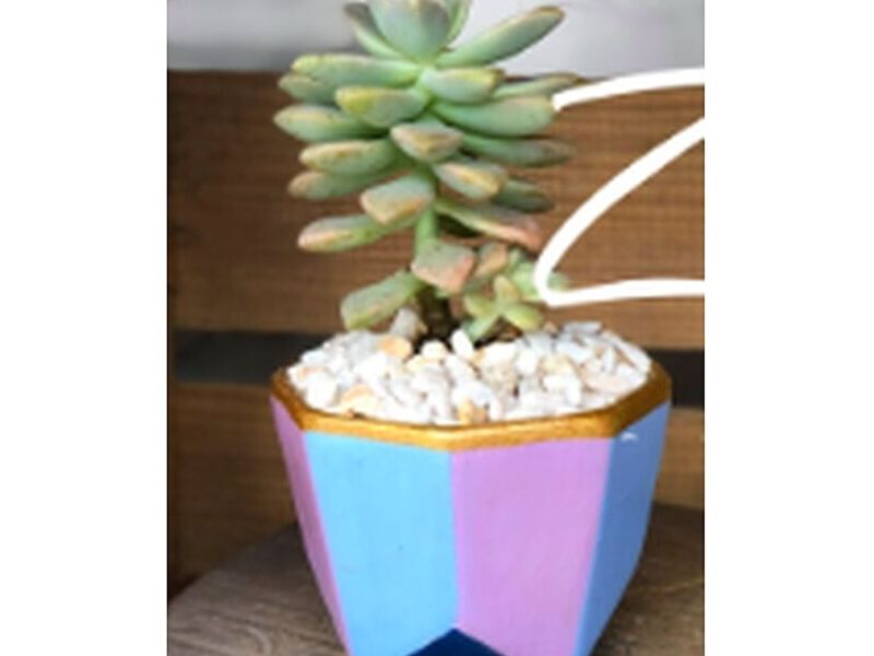 Maceteros Decorativos México