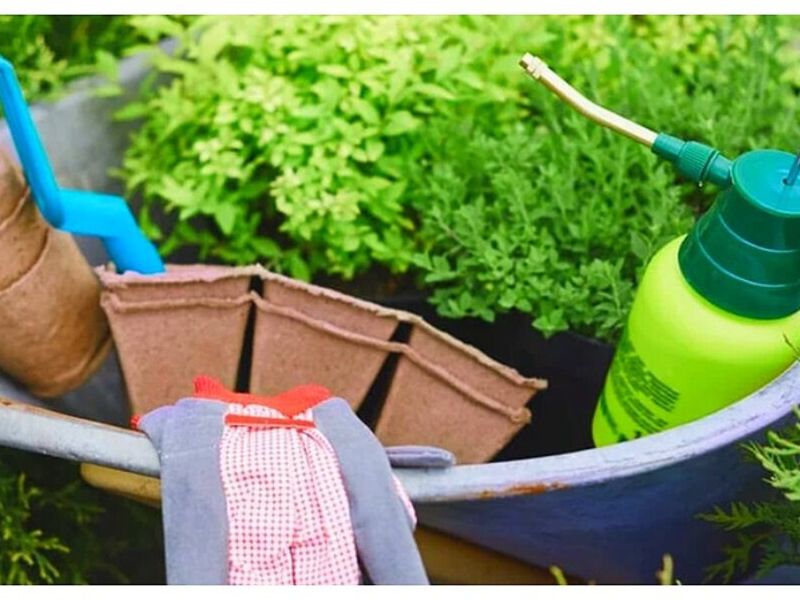 Diseño Jardines Guadalajara
