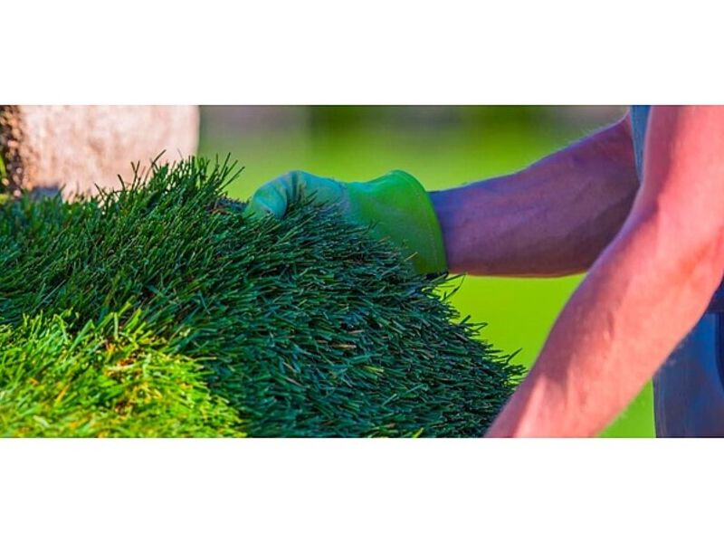 Mantenimiento Jardines Guadalajara