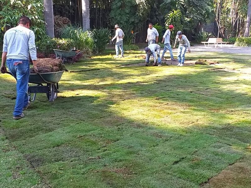 Diseño espacios exteriores Zapopan