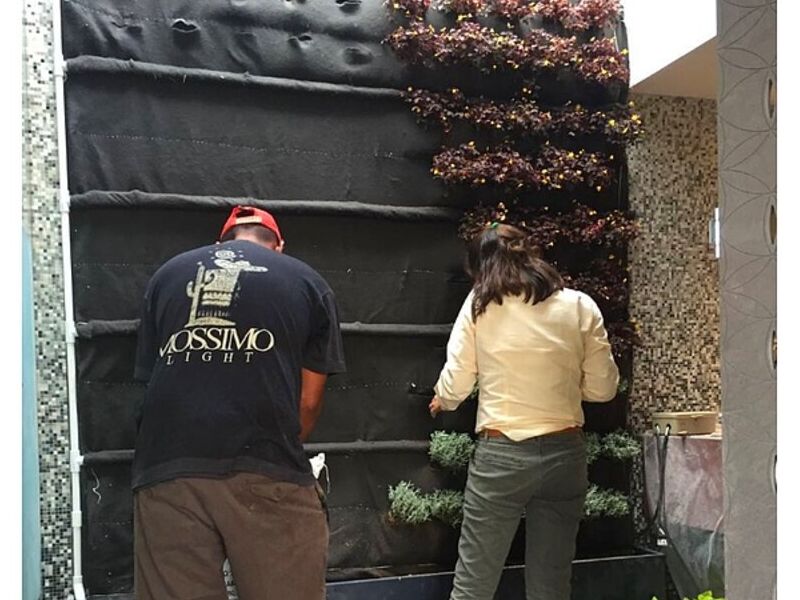 Paisajismo Guadalajara