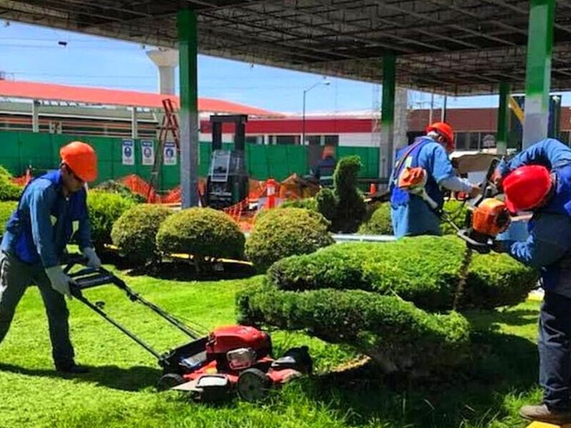 Diseño áreas verdes Ciudad López Mateos