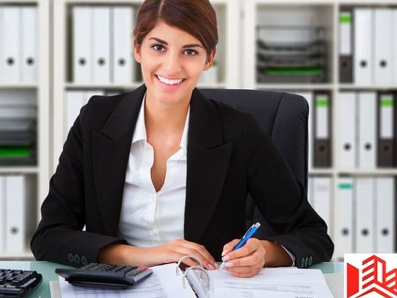 Consultor Obras México
