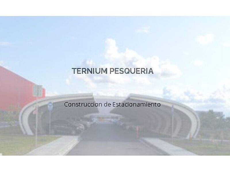 TERNIUM PESQUERIA MEXICO