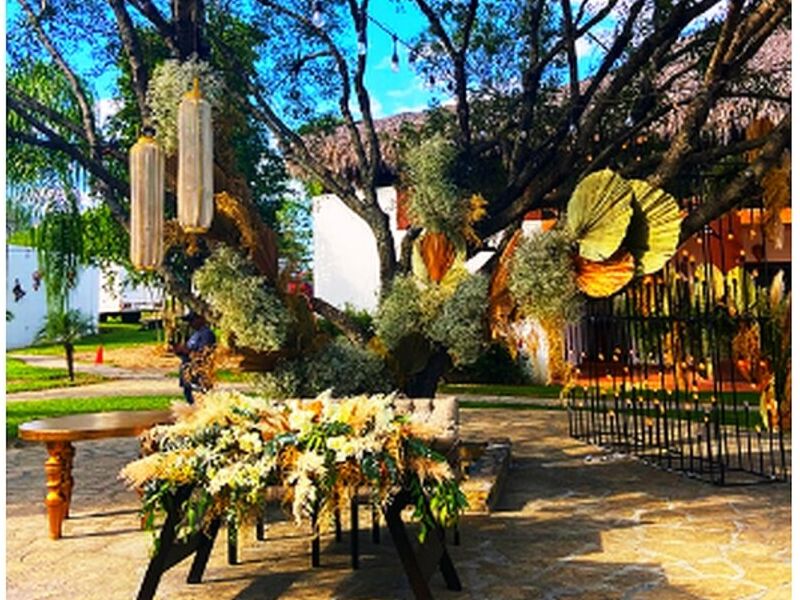 ECOVERGEL EVENTOS MEXICO 