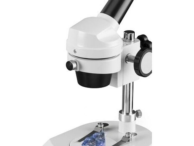 Microscopio óptico (de luz visible) mexico