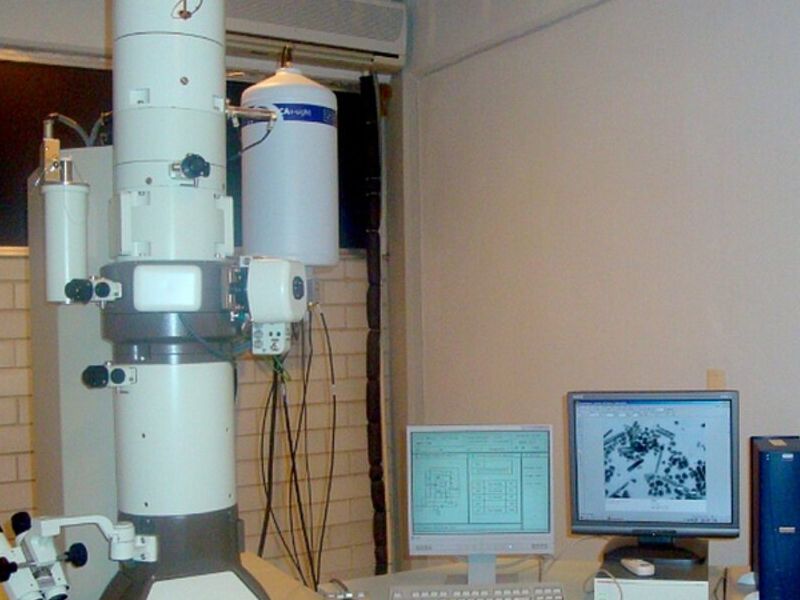 Microscopio electrónico de transmisión mexico