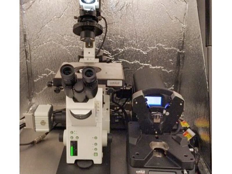 Microscopio de contraste de fase mexico