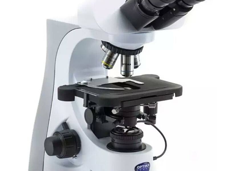 Microscopio de campo oscuro mexico