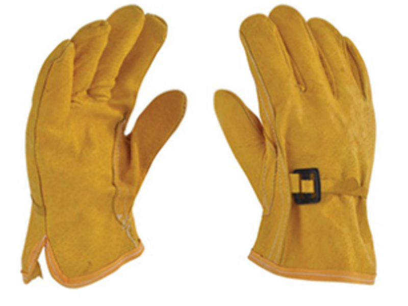 Guantes Nuevo León 