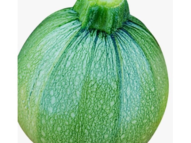 Semillas Calabaza Brice México