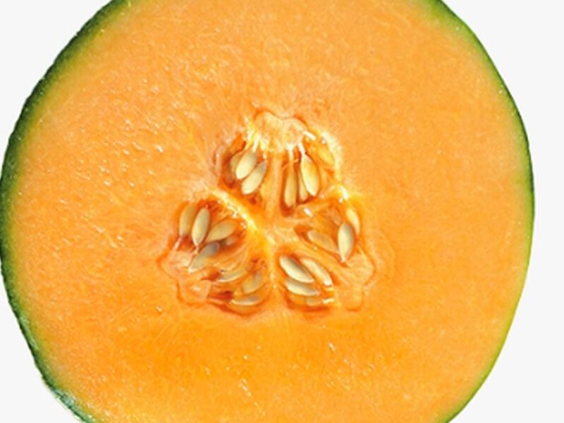 Semillas Melón México