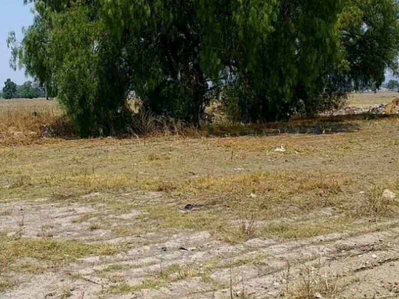 Terreno Venta San Andrés Jaltenco México 