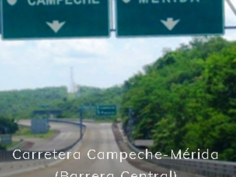 Carretera MX