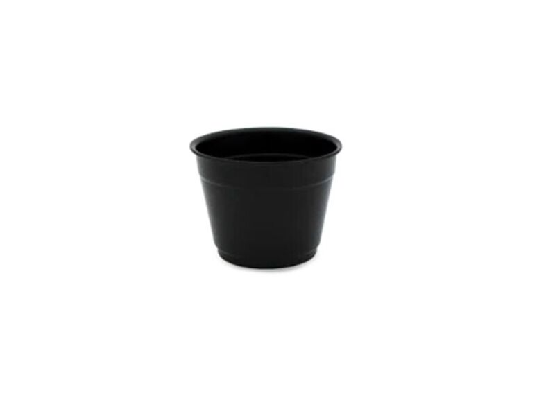 Maceta Baja 2.3" Morelia
