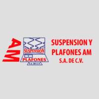 Suspensión y Plafones AM