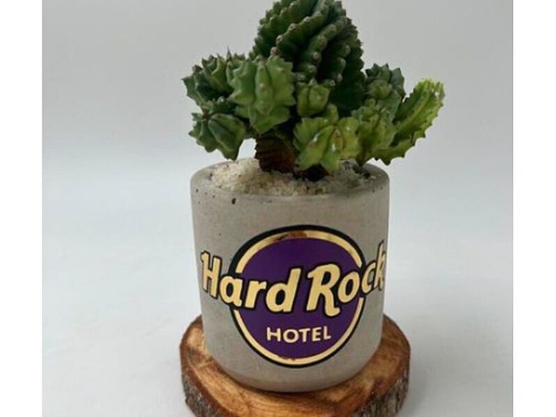 Maceta Eventos México