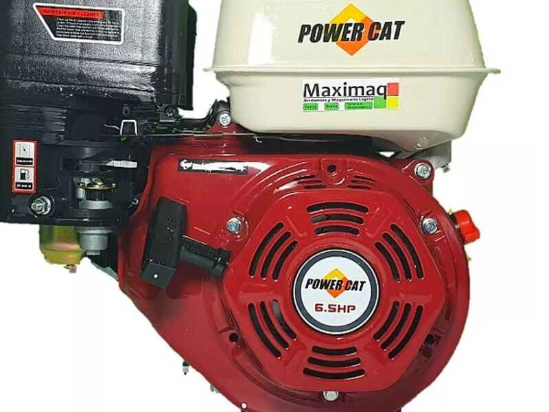 Motor Gasolina Cat PC168FB México Chihuahua