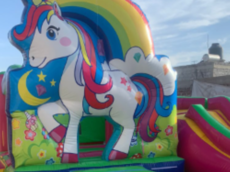 Inflable Modelo 107 3D Resbaladilla México 