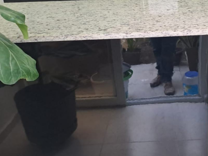 Mesones 1 México