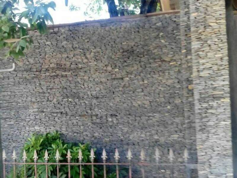 Pared México