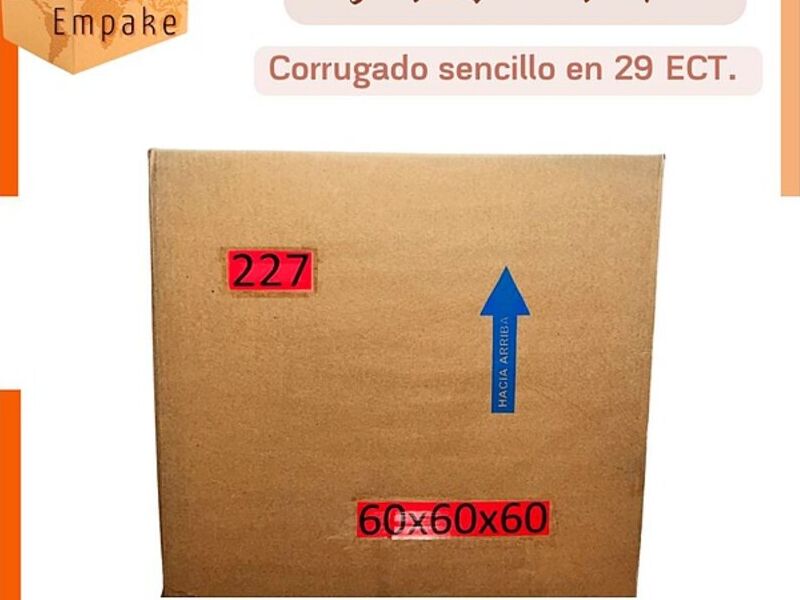 Caja Empaque 29 ECT México