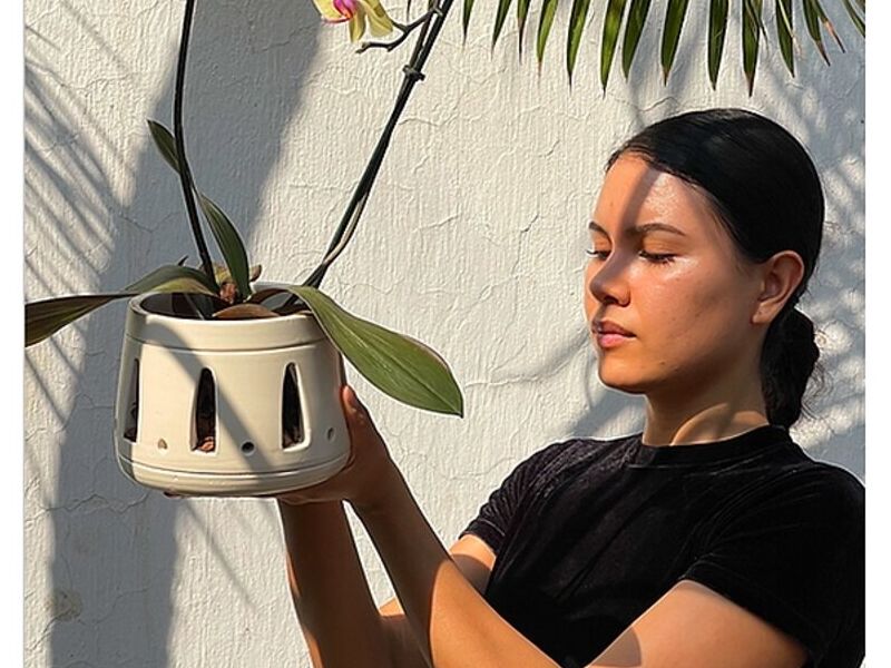 Maceta Orquídea México