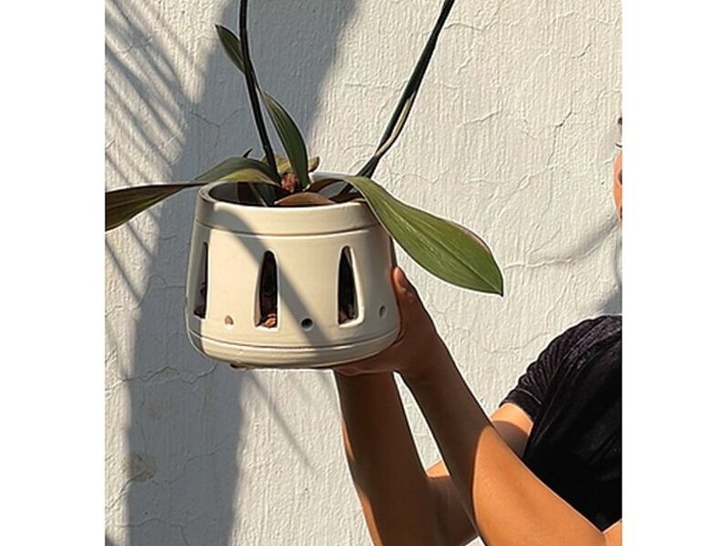 Maceta Blanca México