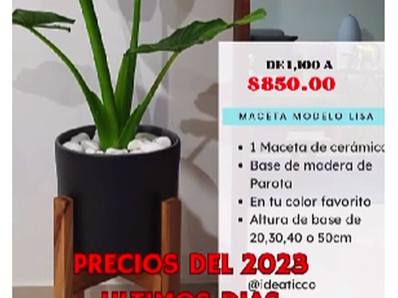 Maceta Negra Guadalajara