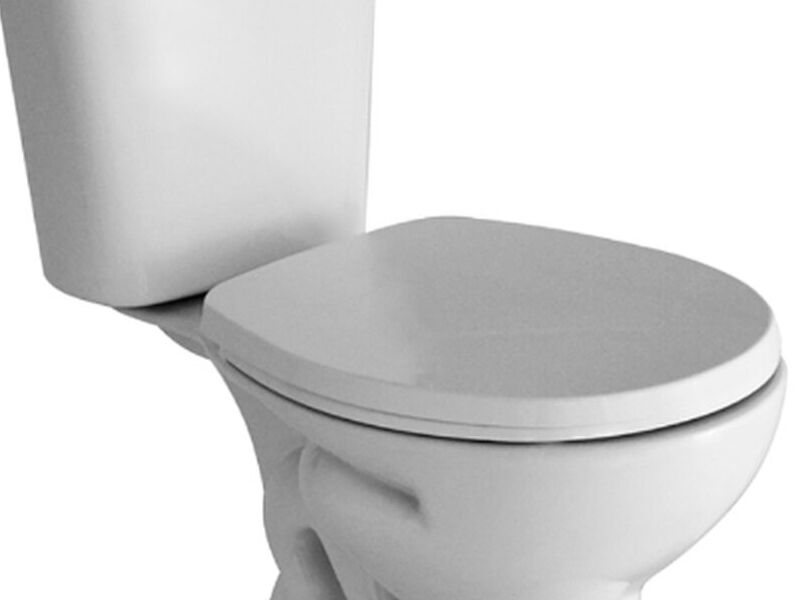 Inodoro Ferrum Andina Blanco Boton Simple