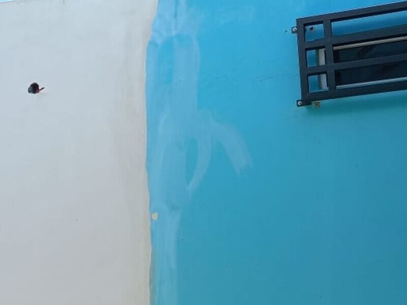 Protección Ventana México
