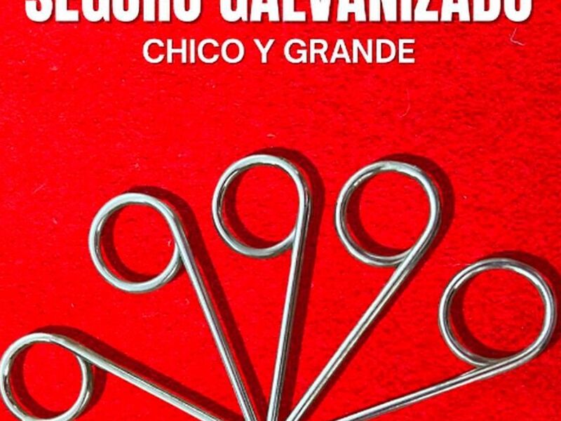 Seguro de galvanizado México