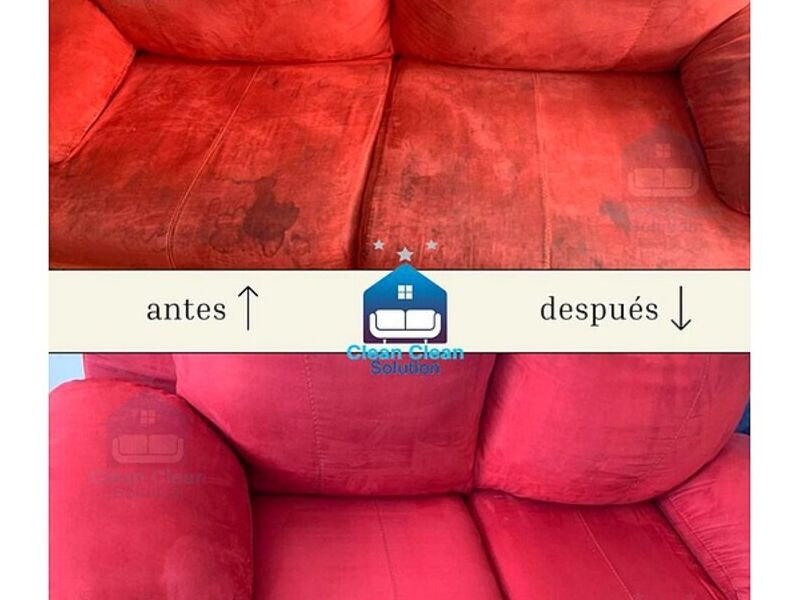 Limpieza mueble vino San Luis Potosí