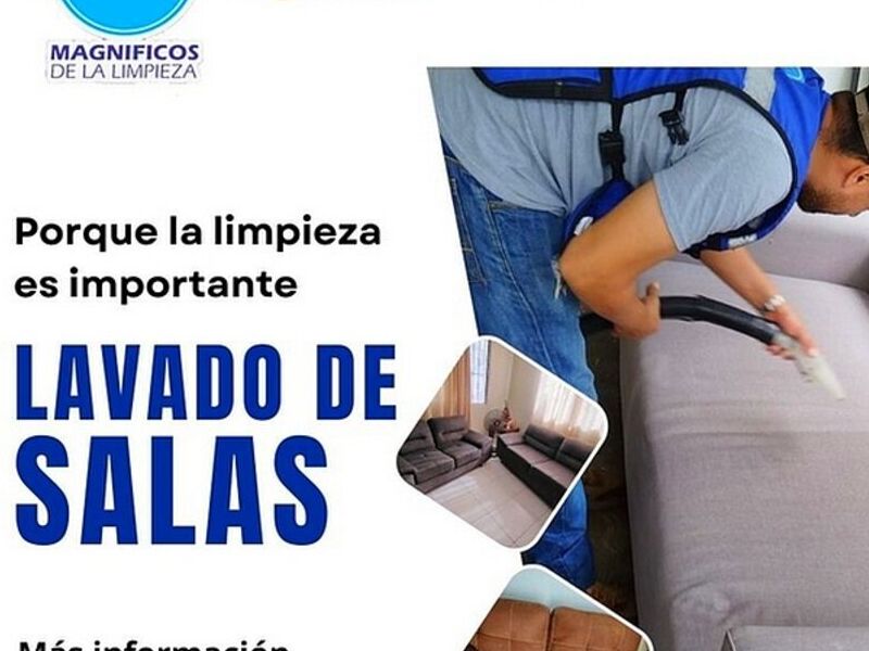 Limpieza sala San Luis Potosí