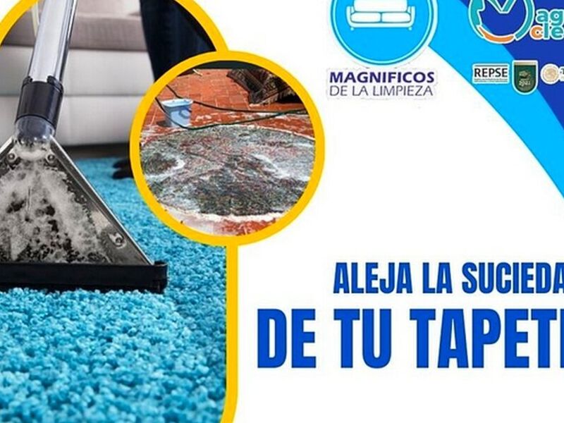 Limpieza tapete San Luis Potosí